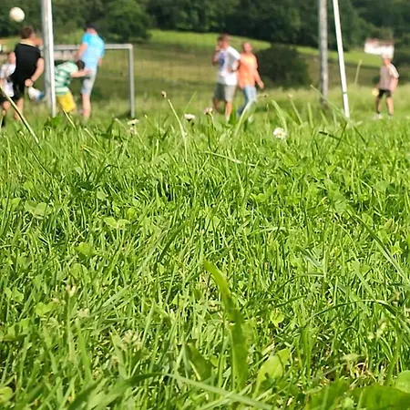 אכסניה El Campo De Petra גראדו