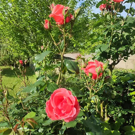 El Campo De Petra אכסניה *