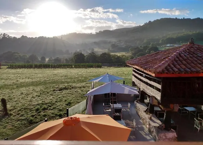 El Campo De Petra Grado