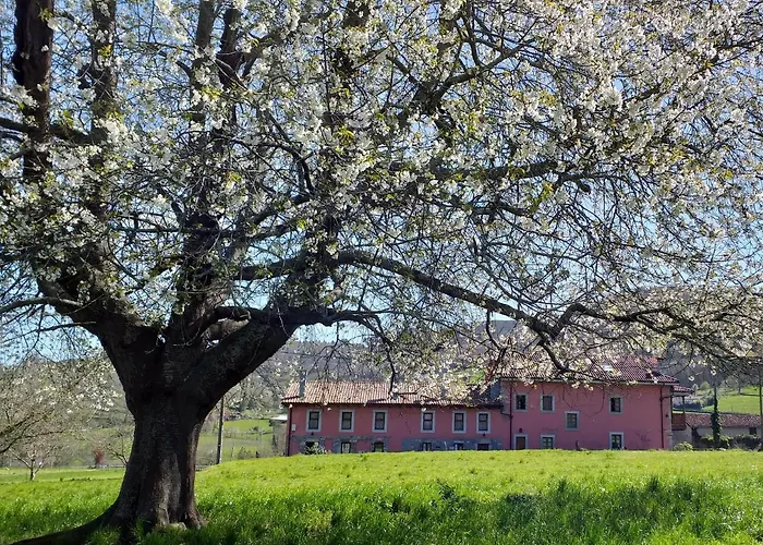 El Campo De Petra بيت شباب