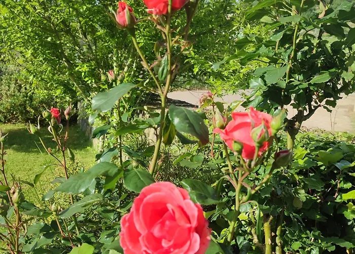 El Campo De Petra Hostal *