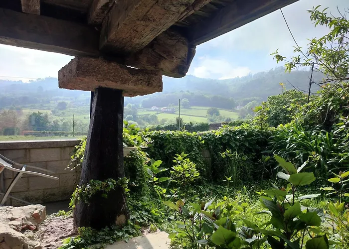 El Campo De Petra * غرادو